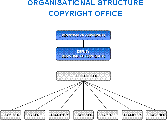 Organisational Structure